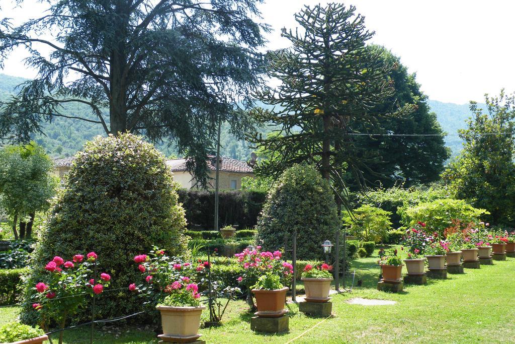 Agriturismo Fattoria Di Gragnone Guest House Luaran gambar